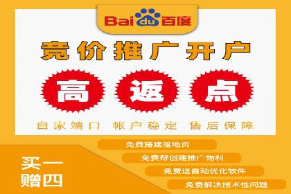 如何在有限预算下最大化百度推广费用的效果——案例解读